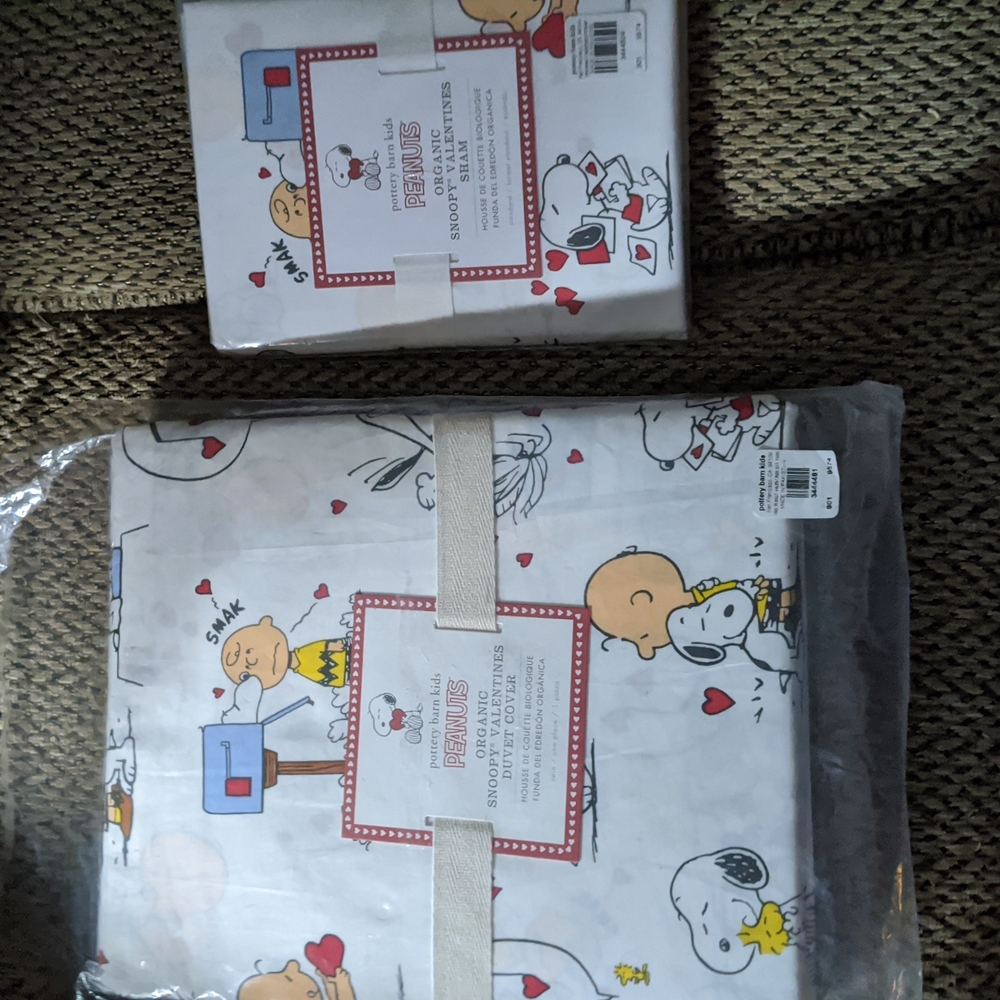 Pottery barn kids snoopy valentine's duvet & sham. Twin size.
